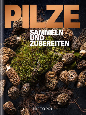 cover image of PILZE